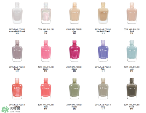 zoyaָ���Ͷ���Ǯ��zoyaָ������ô��